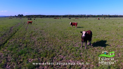DOS EÓLICOS VIRA P FAZENDA_Moment.00_01_02_17.Quadro173_1728d73ba6ad6a9e16867bfddb92cd40f0030309.jpg